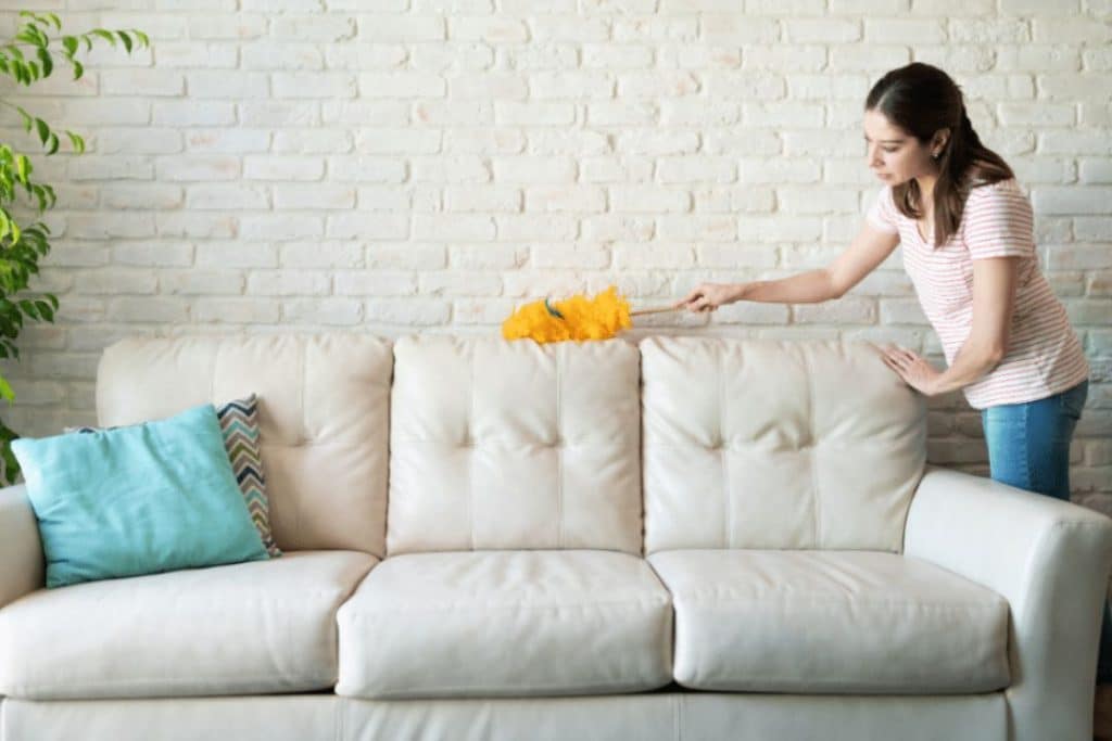 Essential cleaning tips new homeowners